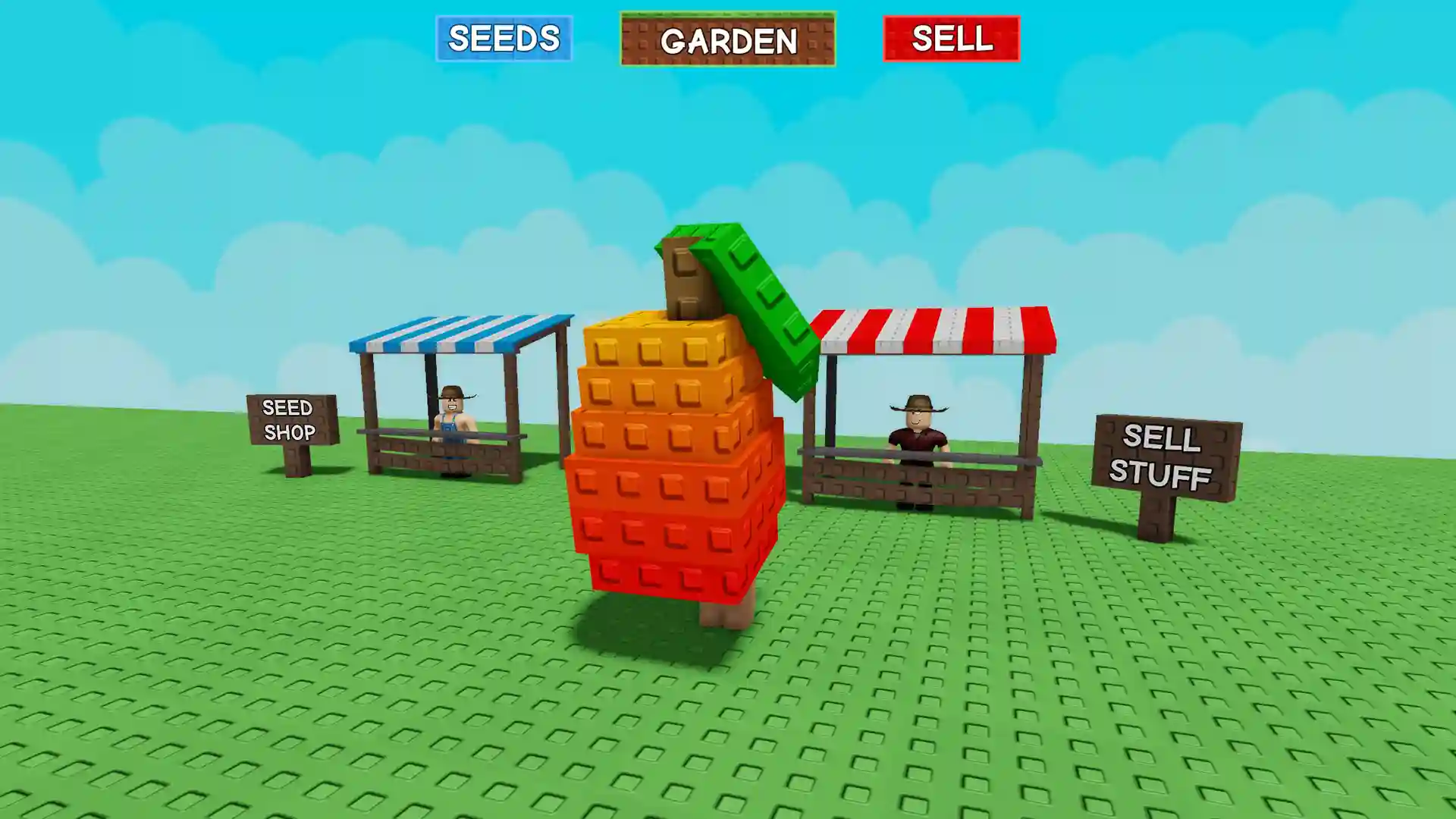 mango grow garden