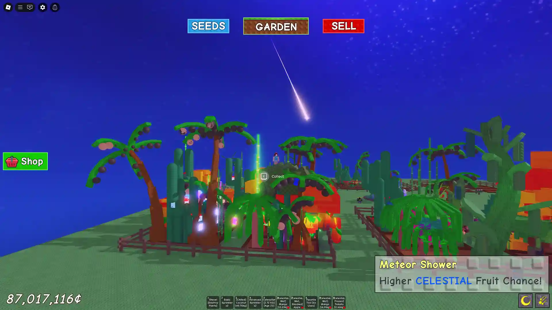 meteor shower grow garden