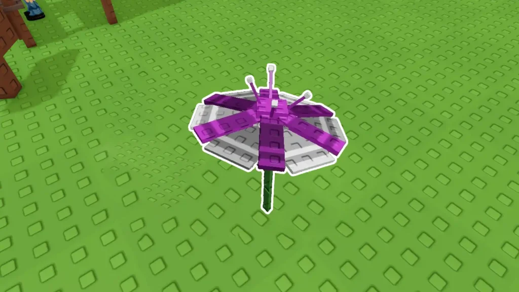 parasol flower grow garden