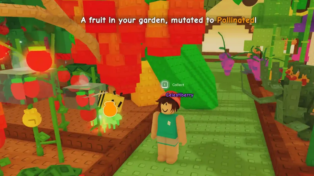 pollinated fruits grow a garden