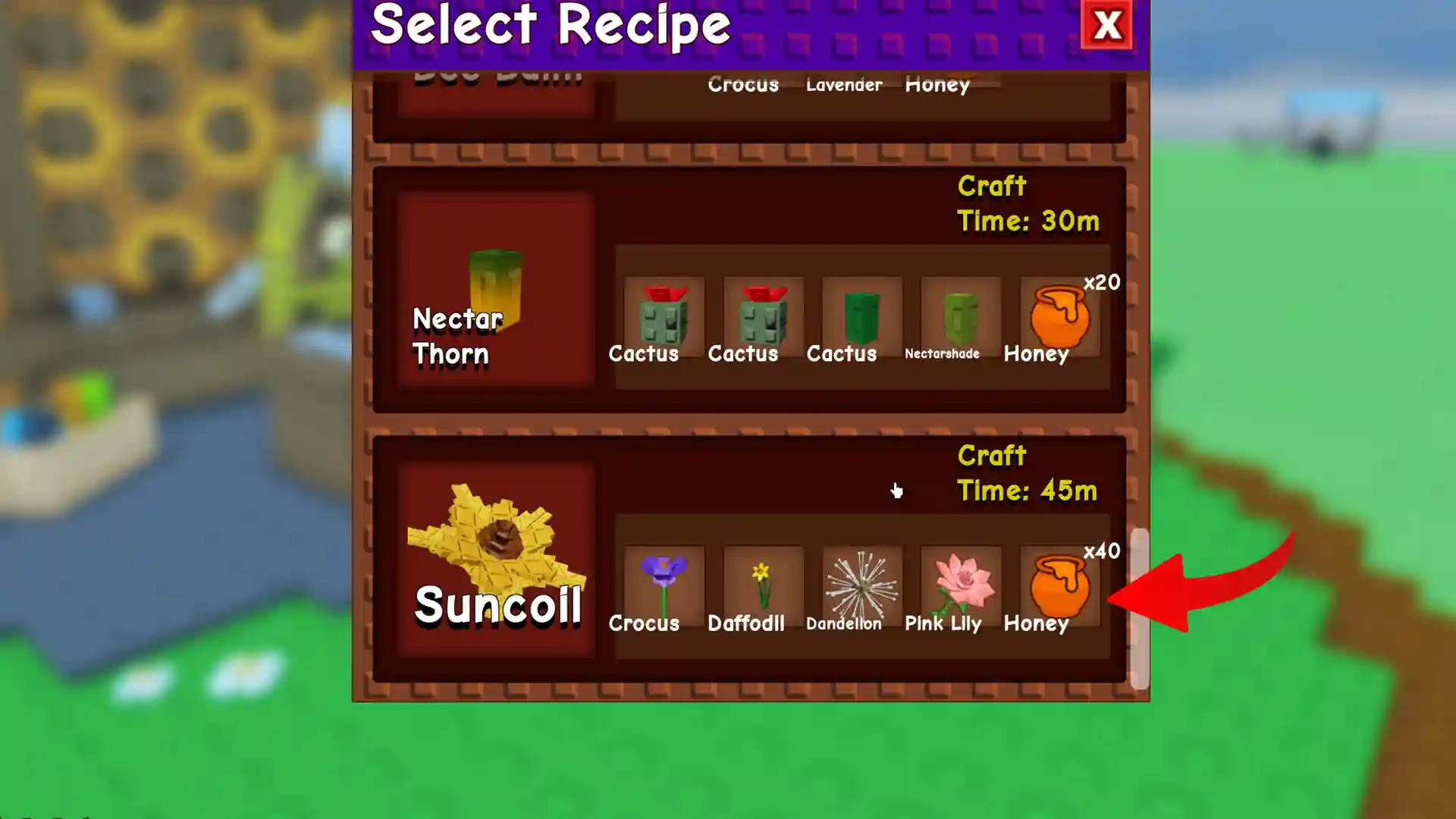 suncoil recipe