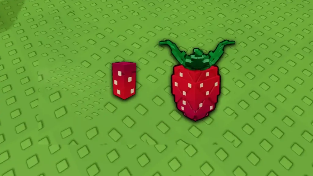 elder strawberry seed and fruit