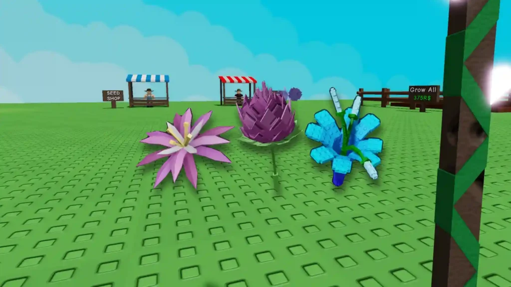 flower type crops grow a garden