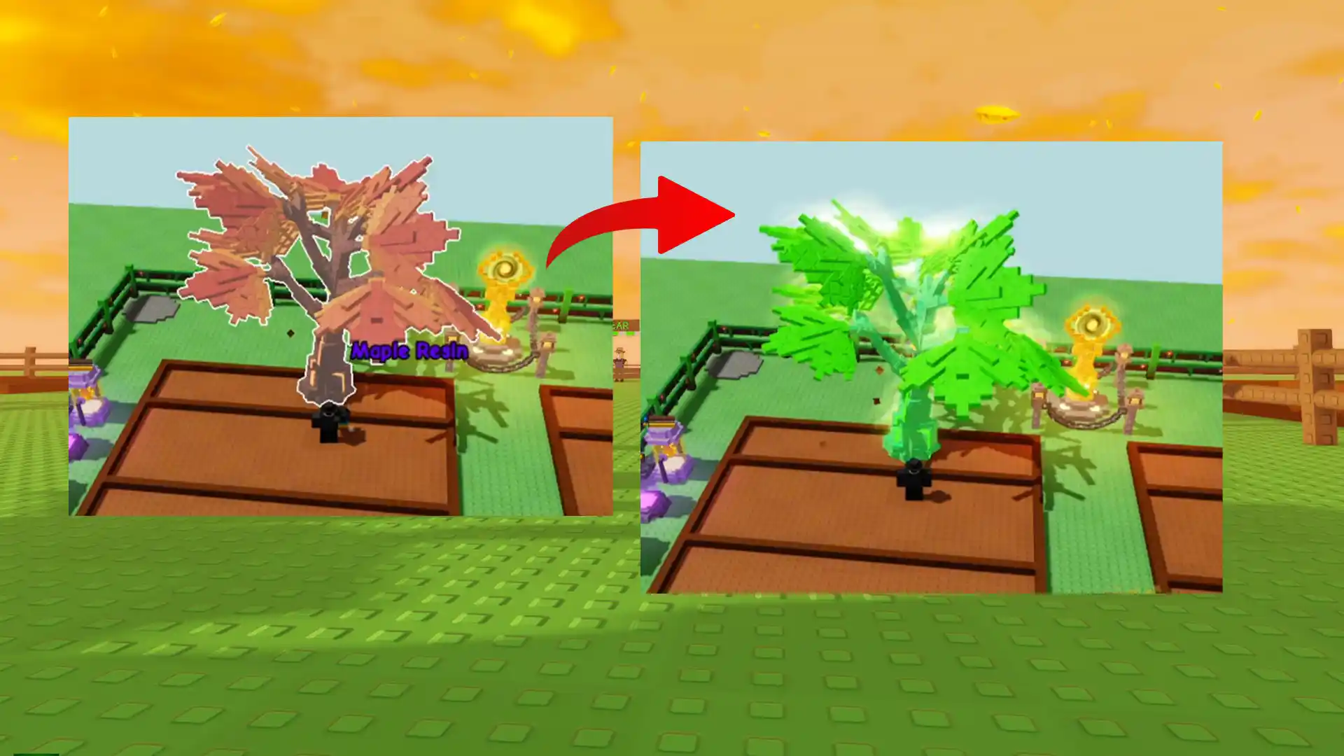 rainbow fertilizer use