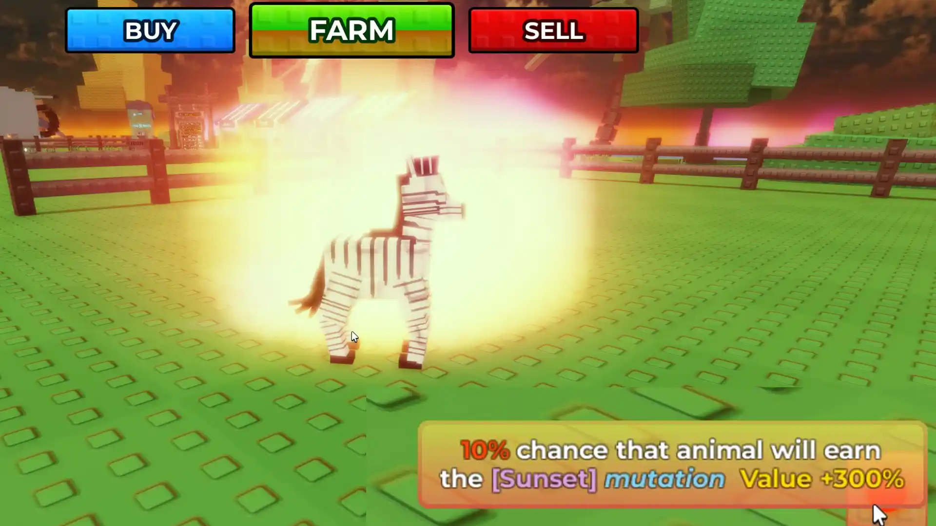 sunset mutated zebra in raise animals