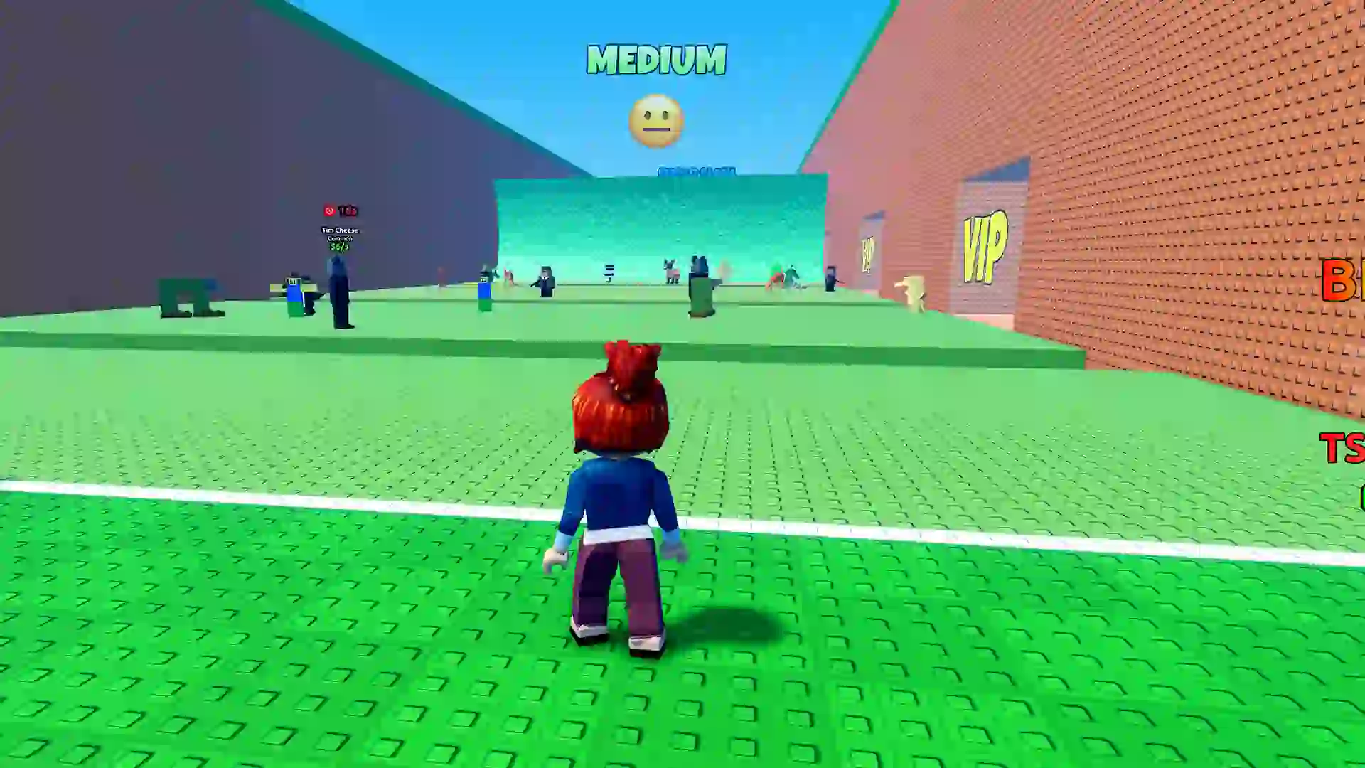 ESCAPE TSUNAMI FOR BRAINROTS visual data 2