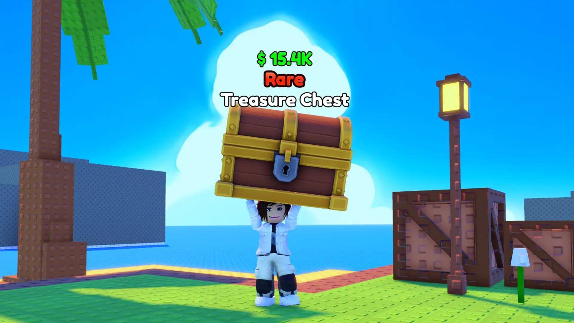 Throw a Coin Codes (July 2026)